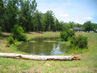 101 Rose Ln, Cobb, GA 31735-2193