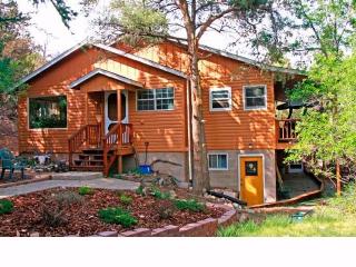 131 Heather Ln, Howard, CO 81233-9613