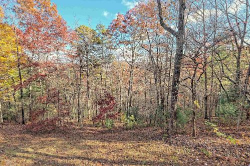 917 Long Laurel Ridge Dr, Lakemont, GA 30552-0029
