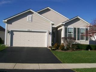 710 Mecosta Ln, Romeoville, IL 60446-5251