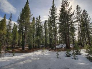 524 Lars Haugen, Truckee, CA 96161-5182