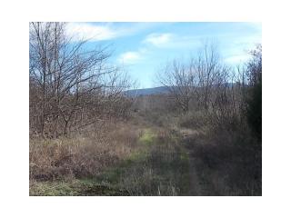 4124 Highway 411, Rydal, GA 30171-1503