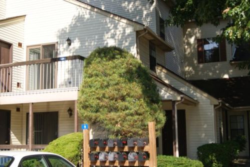 604 Woodbridge Commons Way, Iselin, NJ 08830-3021