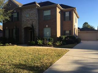 9427 Creek Vine Dr, Houston, TX 77040-6905