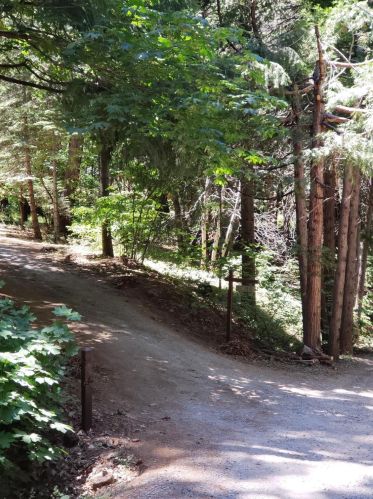 2834 Birch Ct, Snowline Camp, CA 95709-9690