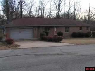 450 Deer Path Dr, Lakeview, AR 72642-7138