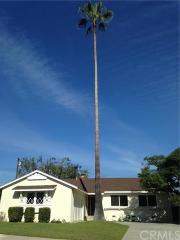 4905 Calle De Arboles, Torrance, CA 90505-6259