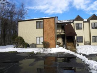 202 Manor Dr, Forest, VA 24551-1359