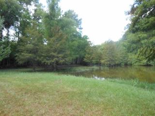 4939 Fairdale Rd, Fairmount, TX 75948