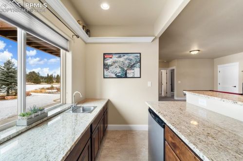 1316 Longs Pt, Woodland Park CO 80863-5306 exterior