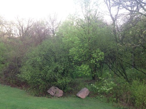 1715 Hickory Hl Dr, Saint Paul MN  55122-2412 exterior