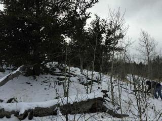 128 Bear Ct, Fairplay, CO 80456-0414