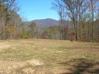 630 Cheek Circle Rd, Whittier, NC 28789-9057