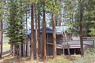 391 Skidder Trl, Truckee, CA 96161-3932