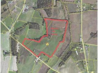 700 Tom Lawson Rd, Mohawk, TN 37810-4739