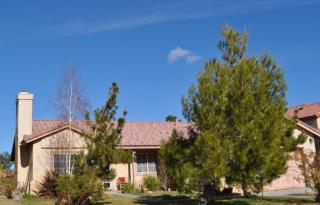 3223 Quarry Rd, Palmdale, CA 93550-8344