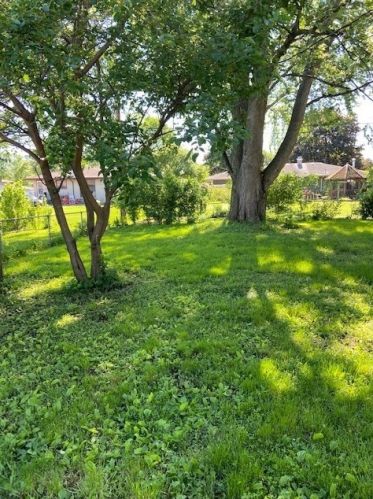 1028 Gael Dr, Joliet IL  60435-3004 exterior