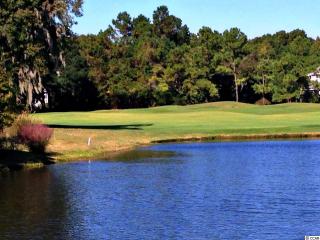 68 Wallace Pate Dr, Georgetown, SC 29440-7331
