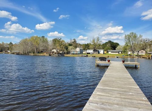2046 James Loop Rd, Foreston, SC 29102-8033