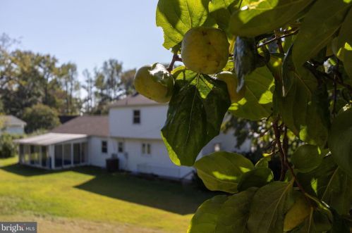 426 Holiday Dr, Aberdeen MD  21001-1813 exterior