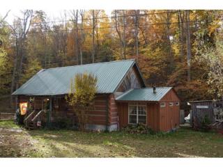 1305 Frank Roberts Rd, Afton, TN 37616-6831
