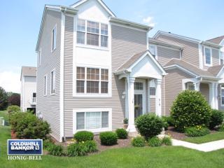 519 Silver Leaf Dr, Joliet, IL 60431-8331