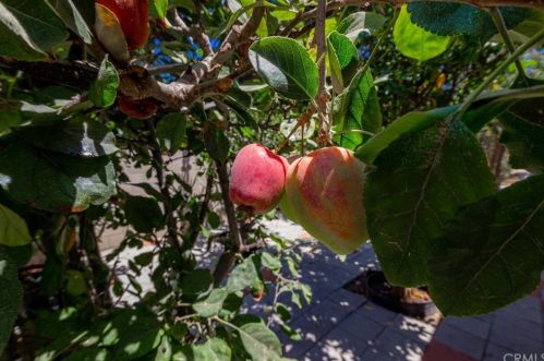 1129 Vermont Ave, Anaheim CA  92802-1825 exterior