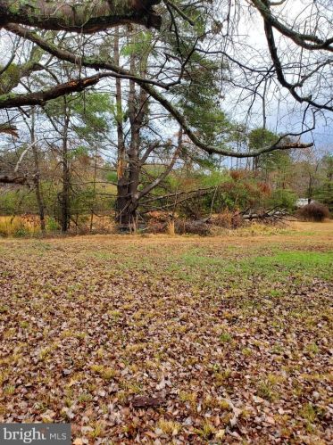 14059 Stonewall Jackson Rd, Woodford, VA 22580-3406