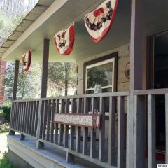 3802 Knight Hollow Rd, Pigeon Forge, TN 37876-6733