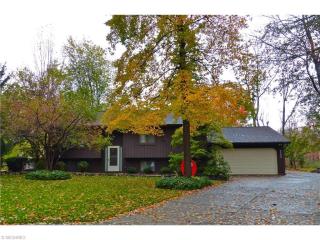 9302 Trillium Ln, Concord Township, OH 44060-1735