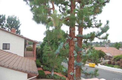 26482 Aracena Dr, San Juan Capistrano, CA 92691-5102