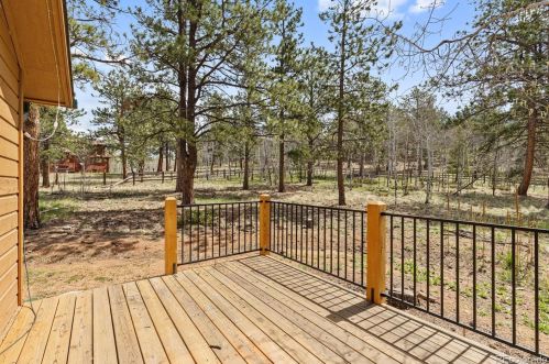 132 Wagon Tongue Rd, Bailey CO  80421-1057 exterior