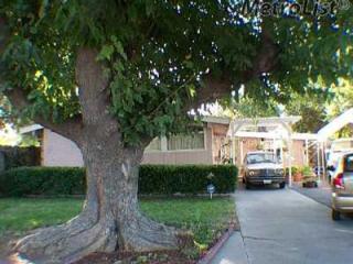 1526 Kazmir Ct, Modesto, CA 95351-3012