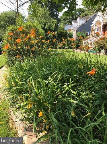 10401 Grandin Rd, Silver Spring MD 20902-3812 exterior