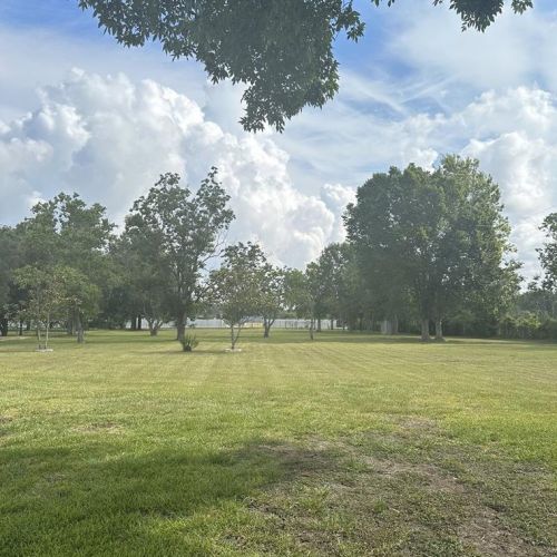 1251 Evergreen St, Fresno, TX 77545-7679