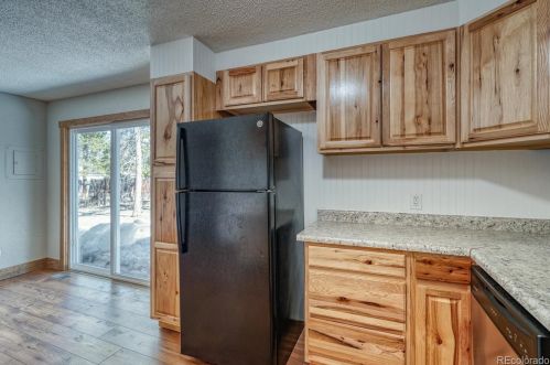 909 Diamond St, Leadville CO 80461-3703 exterior