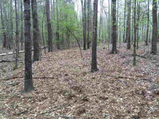 1071 Fleur De Lac Ln, Reynolds Plantation, GA 30642-4404