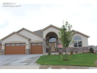 1115 Coral Burst Ct, Loveland, CO 80538-5689