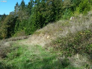 228 D Ave, Drain, OR