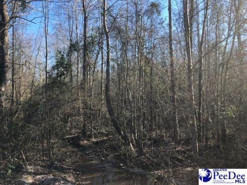 10 Idlewood Ln, Chesterfield SC  29709 exterior