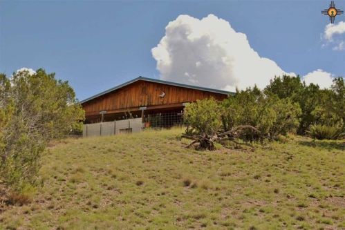 1136 Republic Rd, Winston, NM 87943