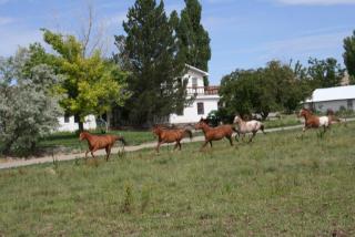 28891 Highway 92, Hotchkiss, CO 81419-7142