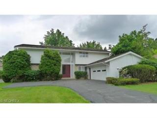 24818 Wimbledon Rd, Cleveland OH  44122-3231 exterior
