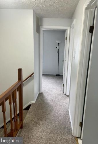 8202 Burning Forest Ct, Springfield VA  22153-3856 exterior