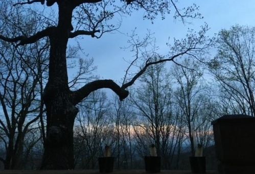 469 Moss Patch Trl, Big Canoe GA  30143-7867 exterior