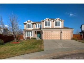 17247 Hulls Way, Woodmoor, CO 80132-7163