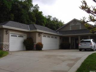 1641 Pheasant Run Dr, Swansboro Country, CA 95667-6075