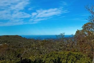 4 Vuelo De Las Palomas, Carmel, CA 93923-7736