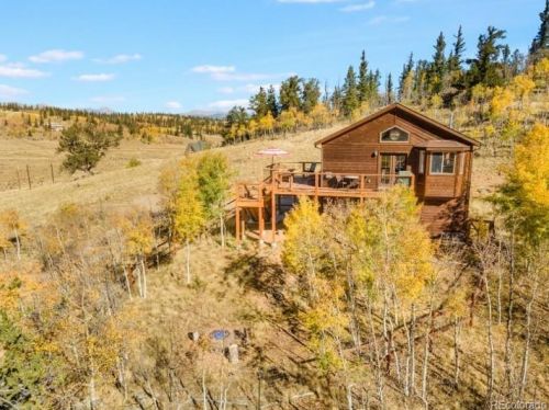 1784 Longbow Dr, Fairplay, CO