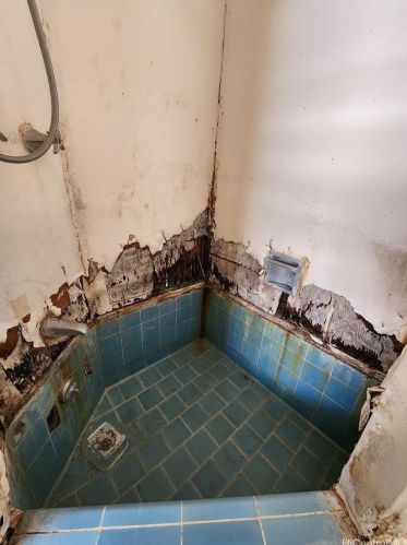 2526 Gardenia St, Honolulu HI  96816-3502 exterior